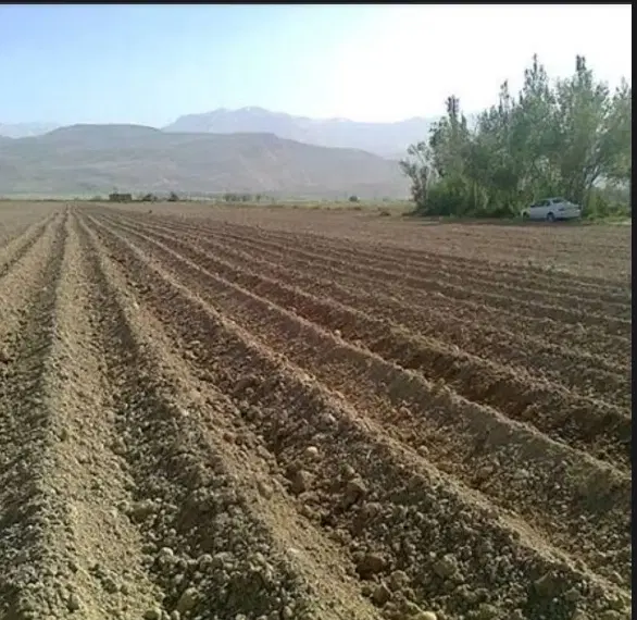 10 هکتار زمین ابی یک دست