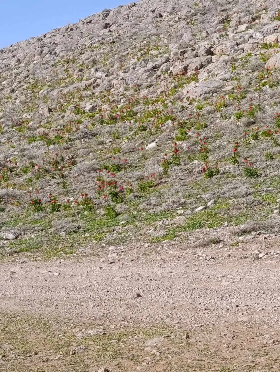 زمین فروشی