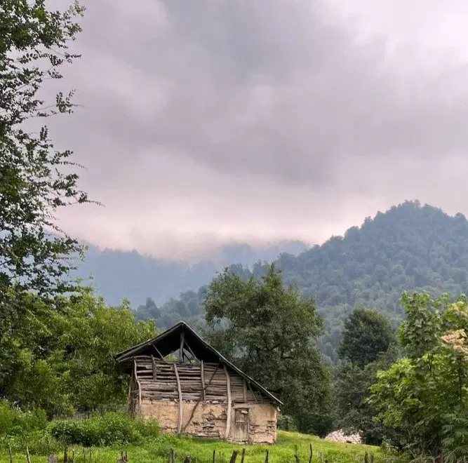 قطعه زمین صدمتری