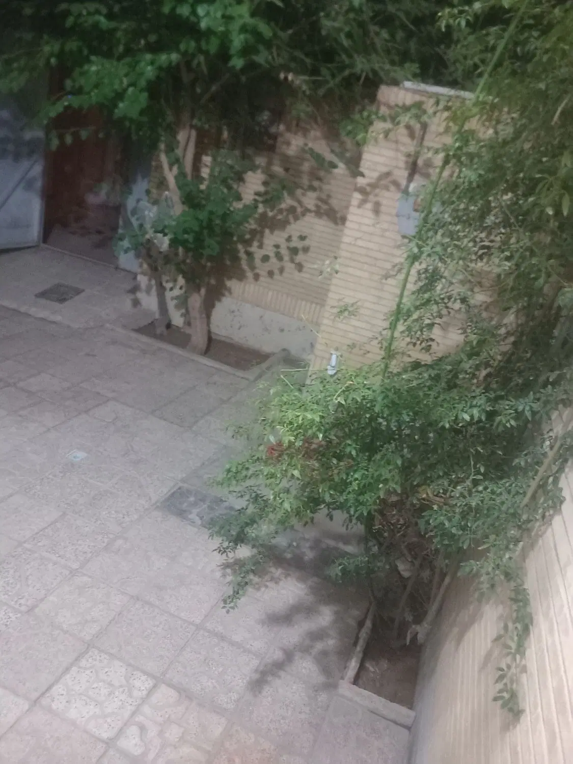 اجاره منزل مسکونی حیاط دار