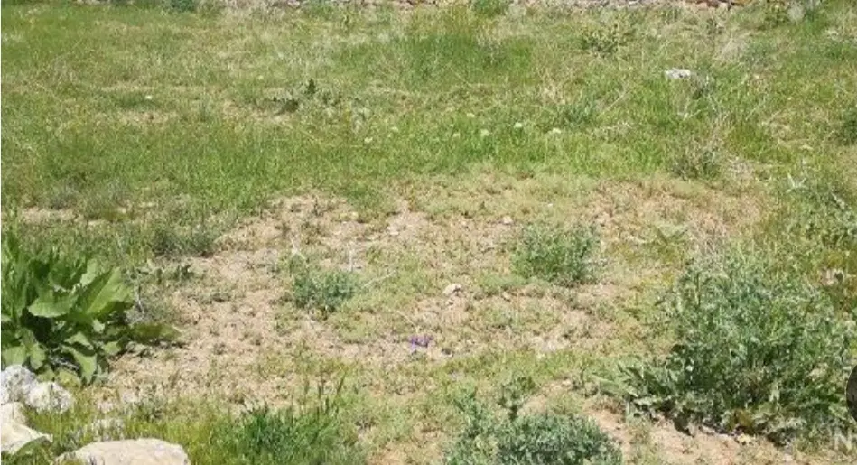 فروش زمین  مسکونی روستای تنگ کرم