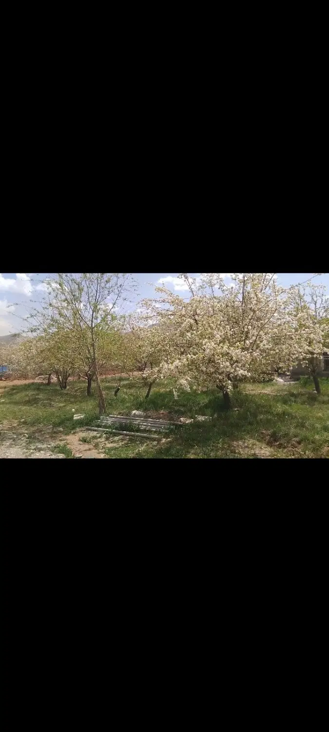 زمین ویلای گوار
