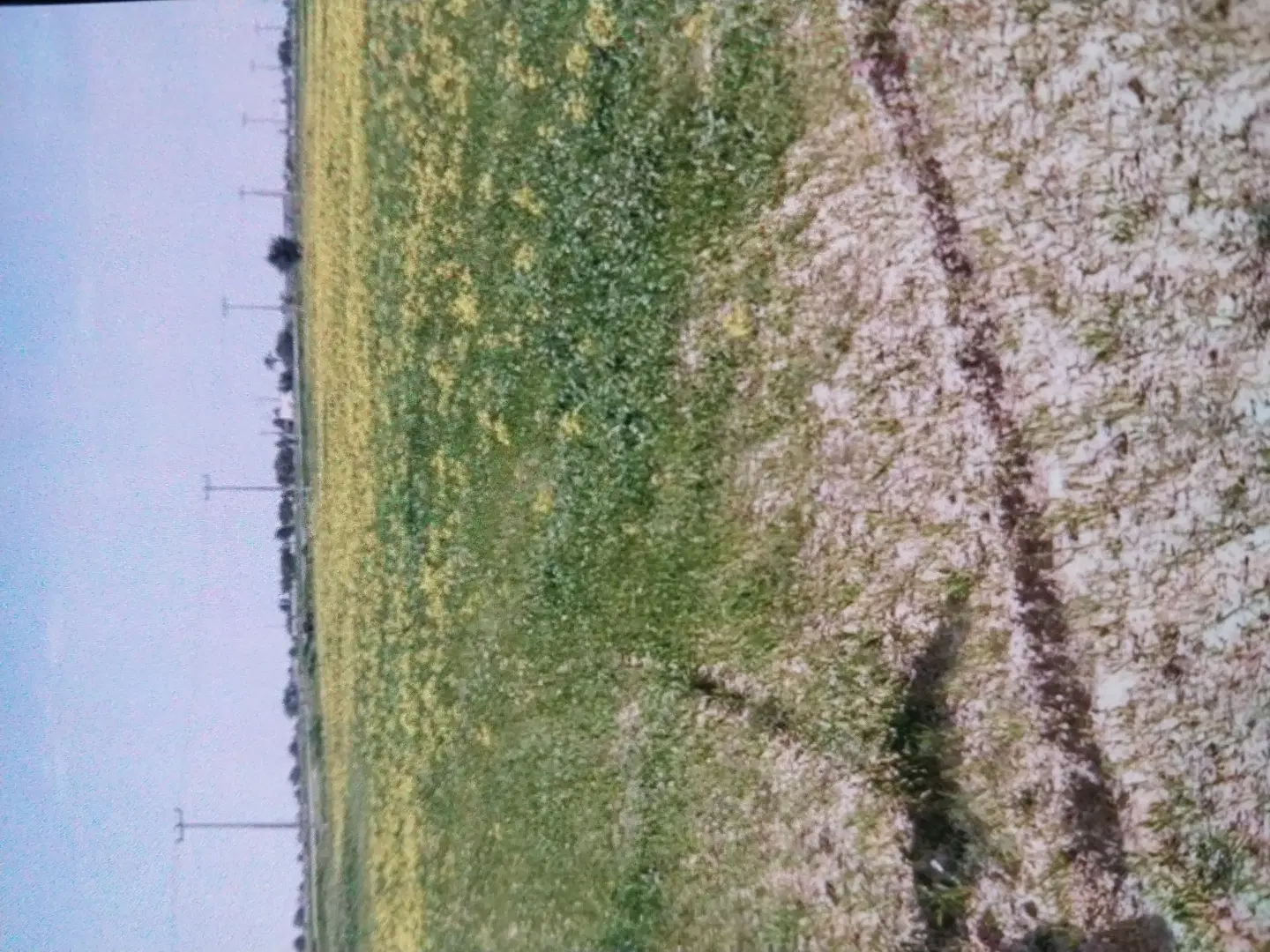 زمین ساختمانی