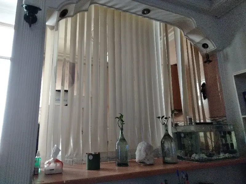 همخانه خانه دارم