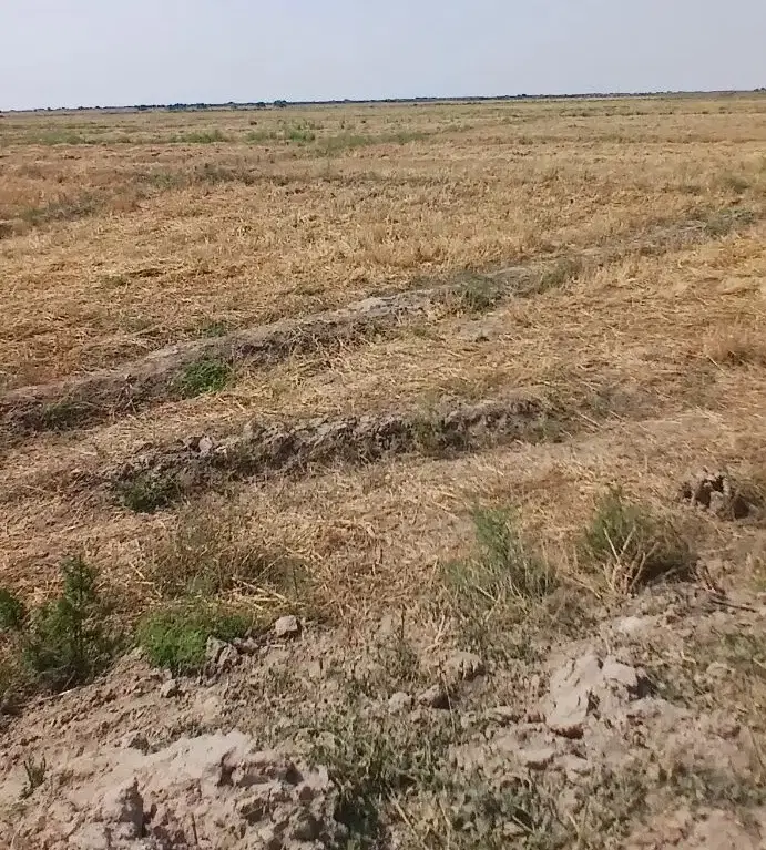 فروش زمین مسکونی بلوار فجر