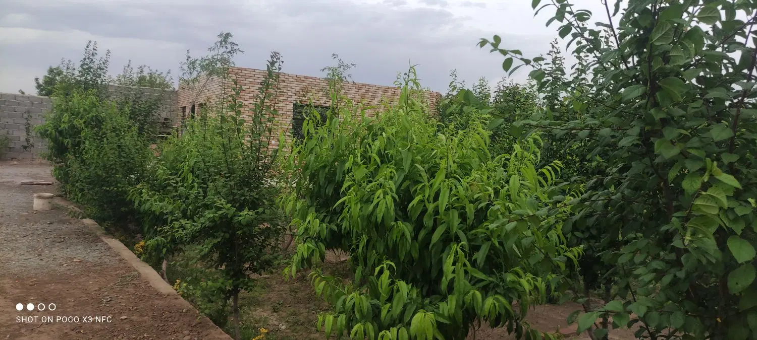 باغ ویلا ۵۰۰ متر