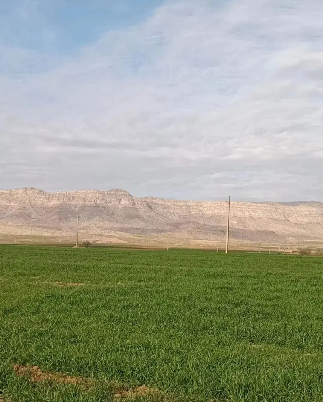 فروش زمین کشاورزی