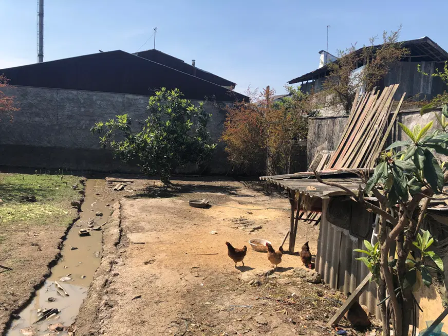 ۳۴۶ متر زمین نسق با بنچاق معتبر دیوار شده