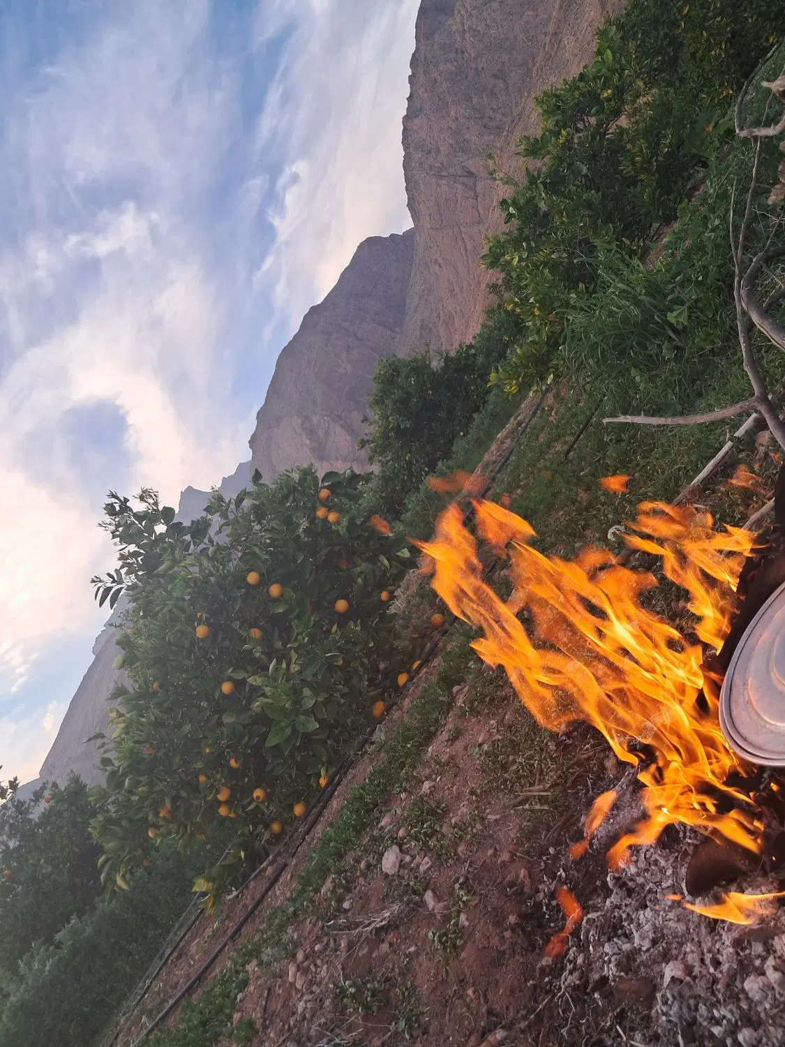 فروش ۵۰۰۰ متر باغ با یک دانگ آب چاه برقی