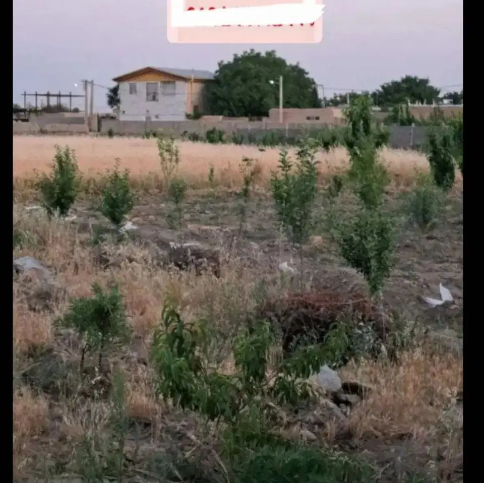 فروش یا معاوضه ملک در تنکمان
