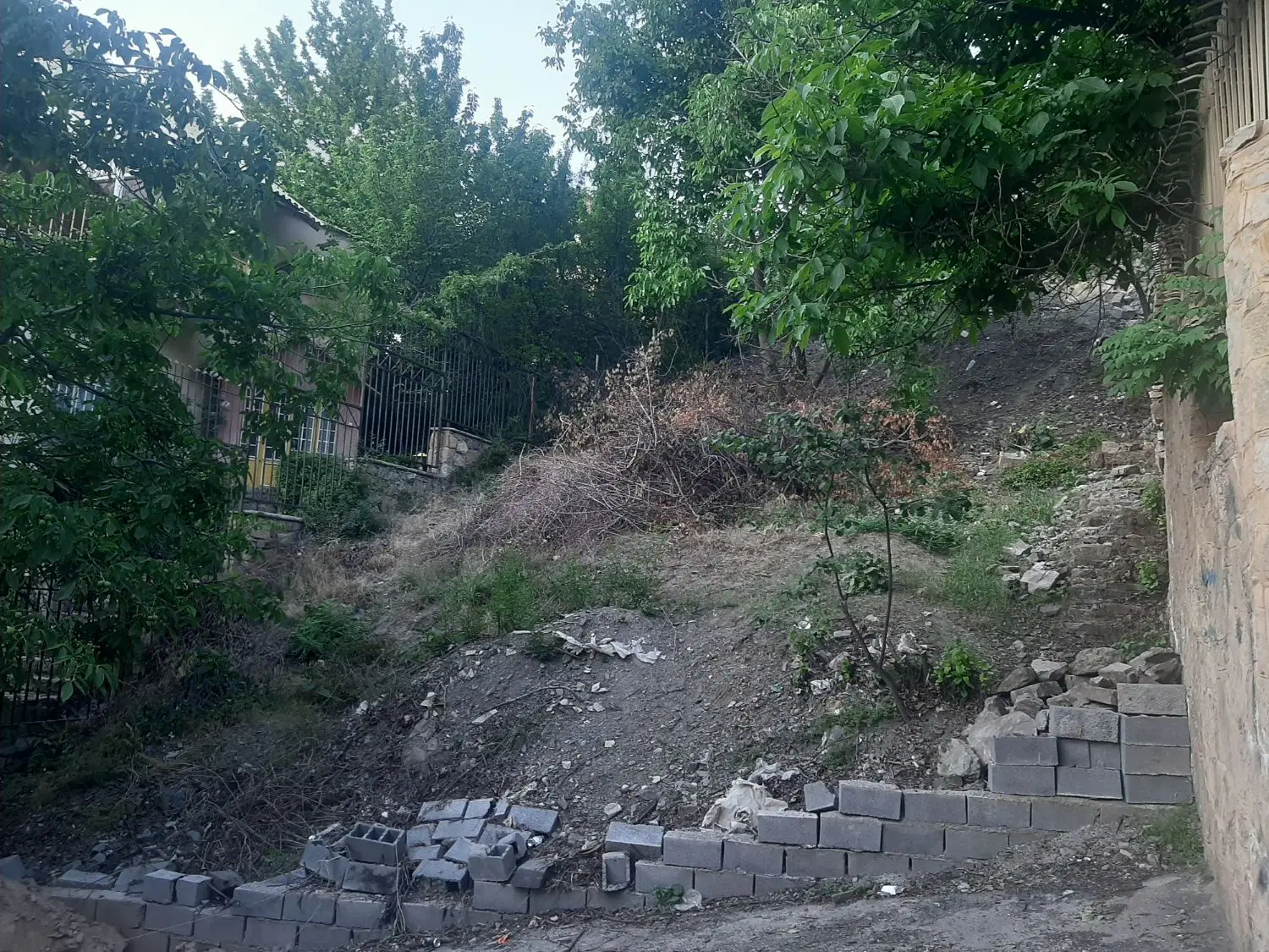 باغ زشک