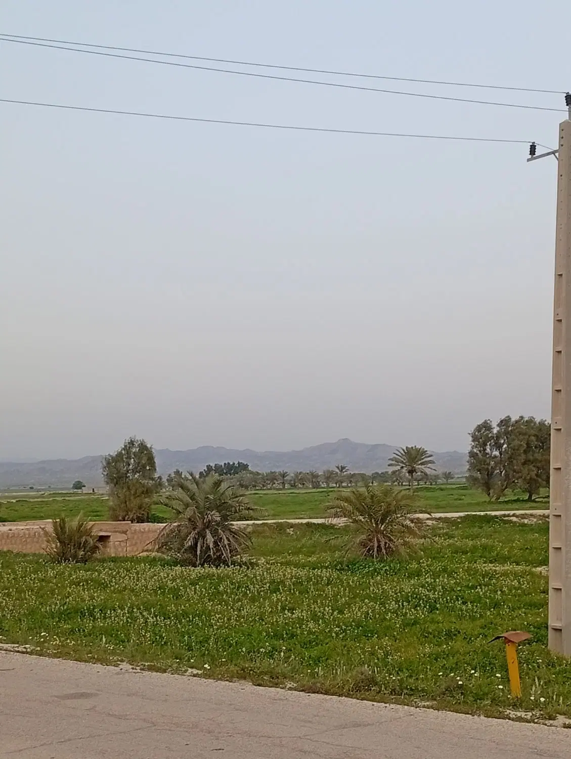 زمین روستای شول