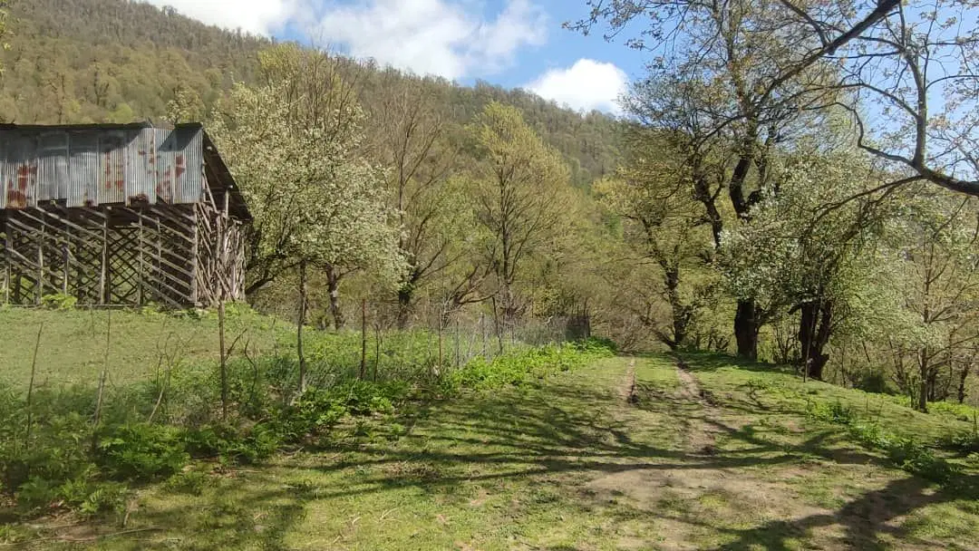 زمین فروشی در روستای کسمه جان