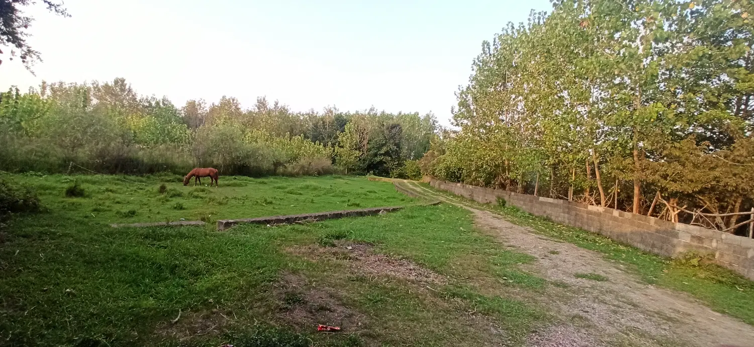 زمین باغی
