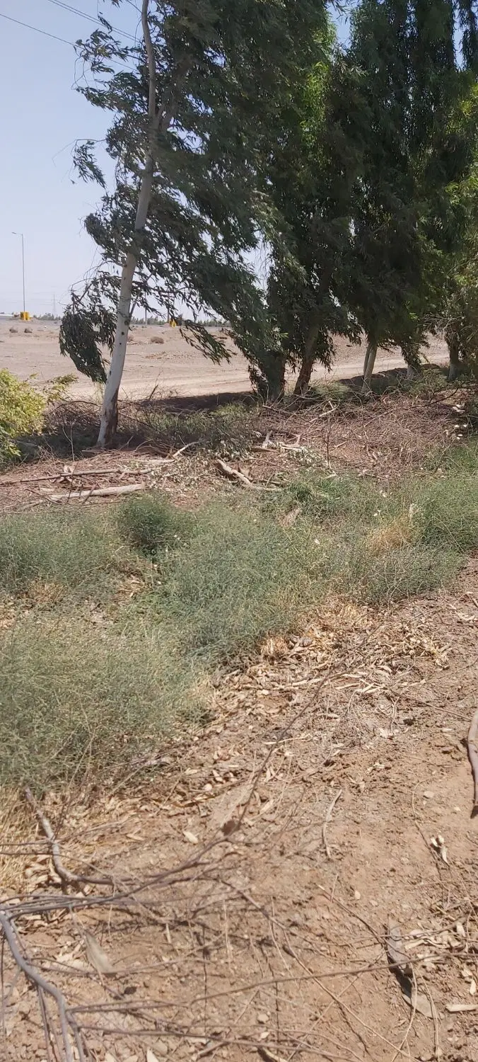 زمین بلوار خاتمی کوچه ۱۳۲ بلوار رو ب رو پارک دیلم