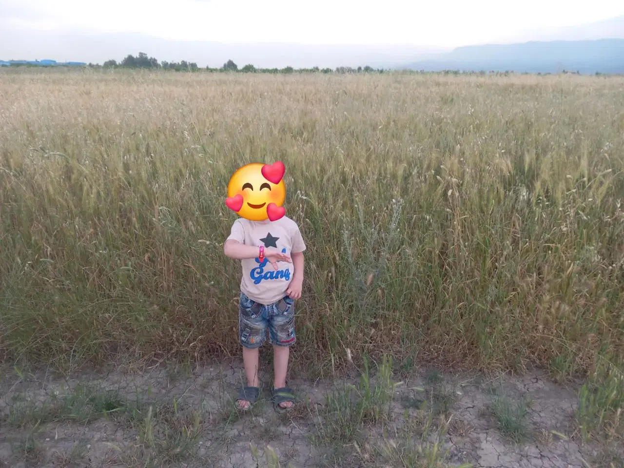 زمین کشاورزی مفت