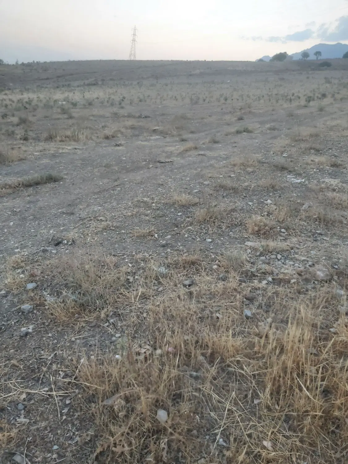 زمین مناسب باغ ویلا