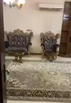 اجاره روزانه سوئیت آپارتمان مجرد متاهل ارزان