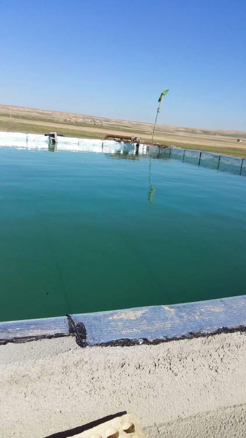 سرمایه گزاری،کشاورزی نوین