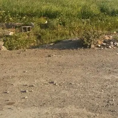 زمین ویژه در ایزی