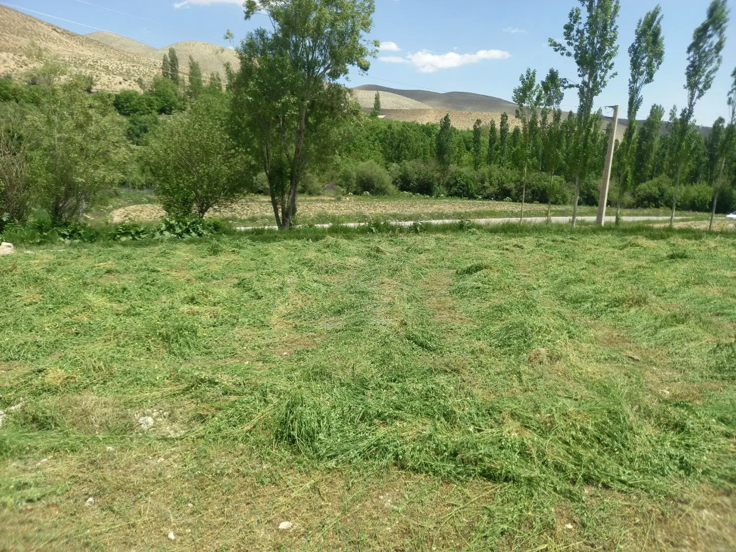 زمین در تنگه واشی (روستای جلیزجند)