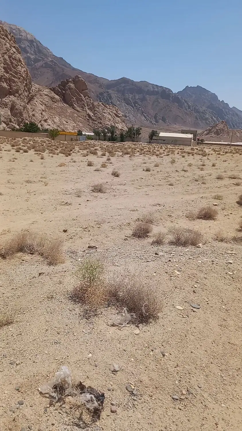 فروش زمین مزروعی دادای سند تکبرگ
