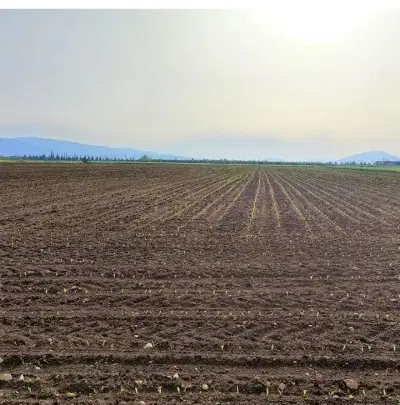 زمین کشاورزی محمودآباد نمونه