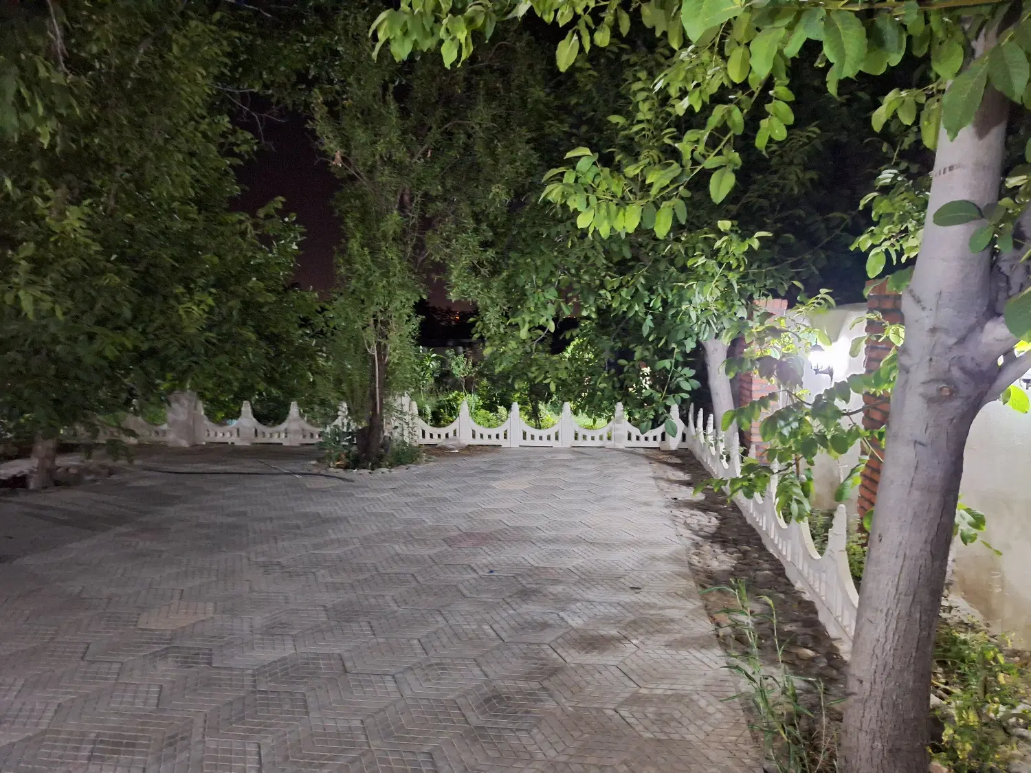 باغ حیدره
