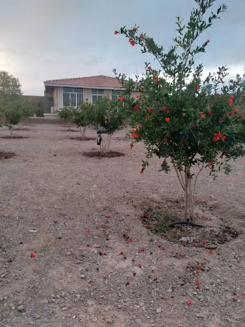 باغ ۱۲۰۰ متری دو درب مجزا در دو کوچه