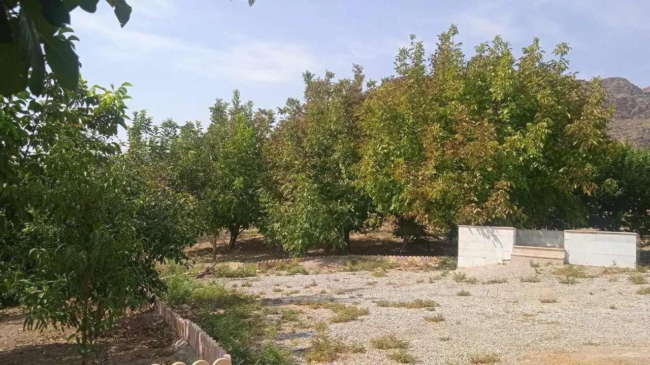 فروش باغ