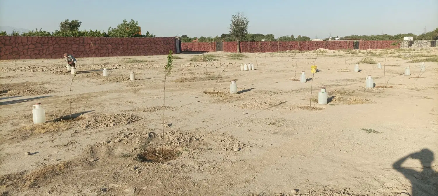 زمین باغی صباشهر