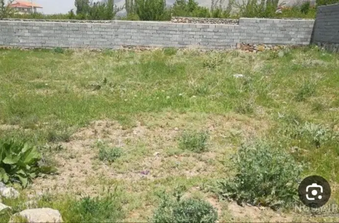 زمین توس۱۱۷