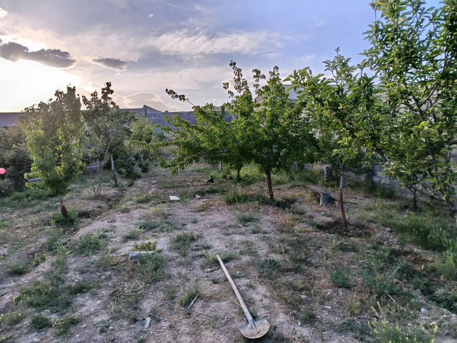 زمین فروشی