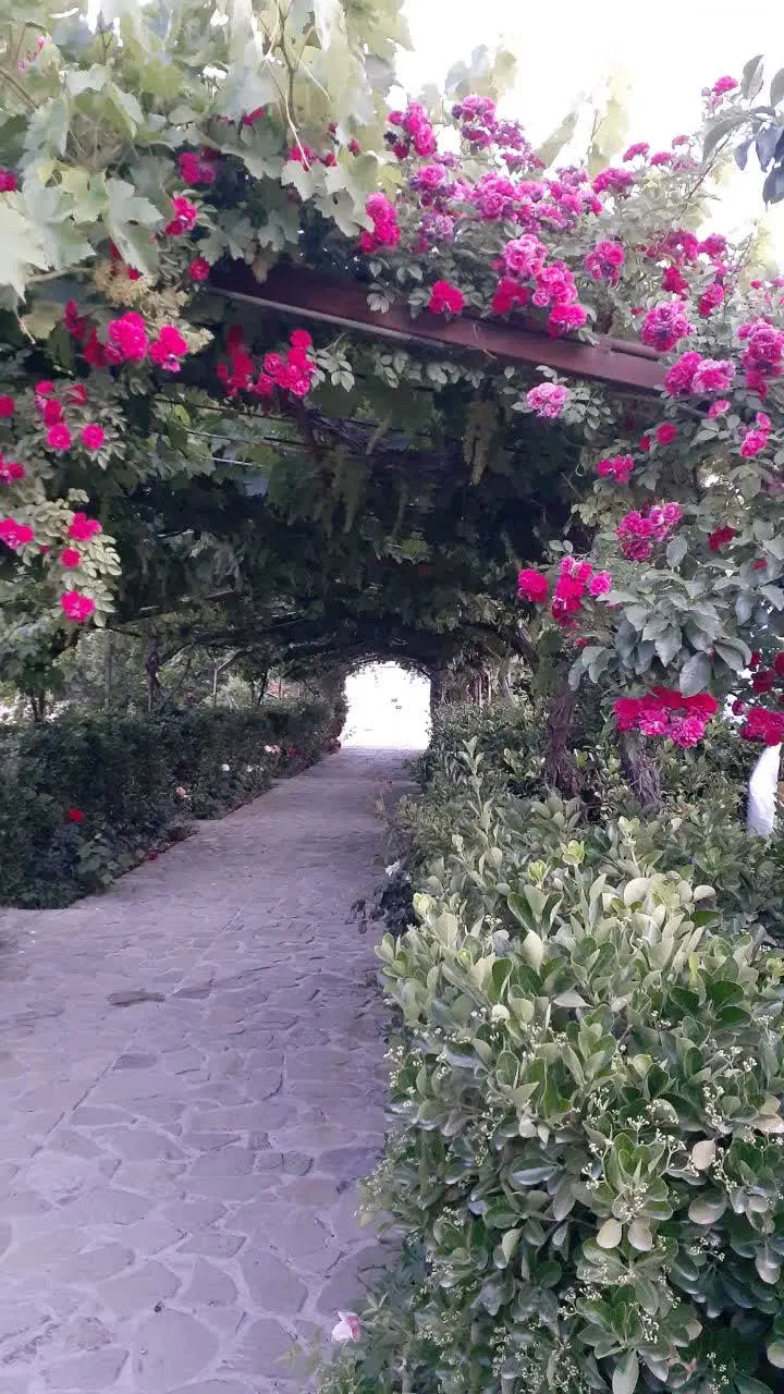 فروش باغ زیبا