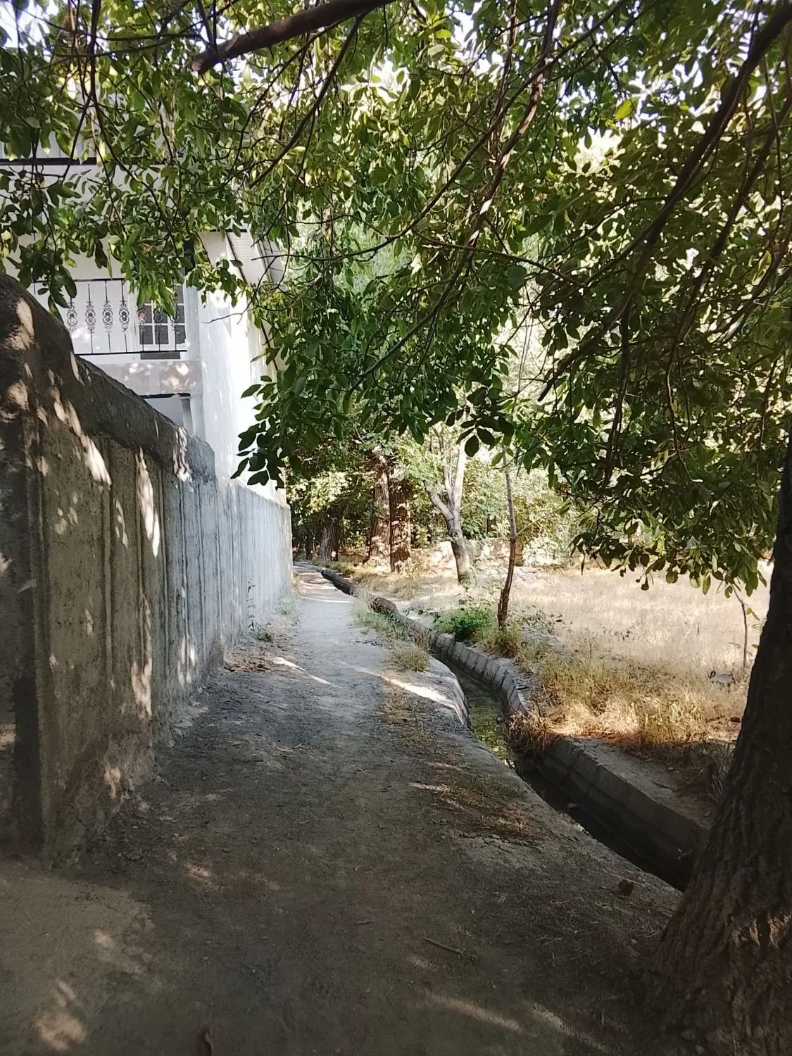 فروش باغ