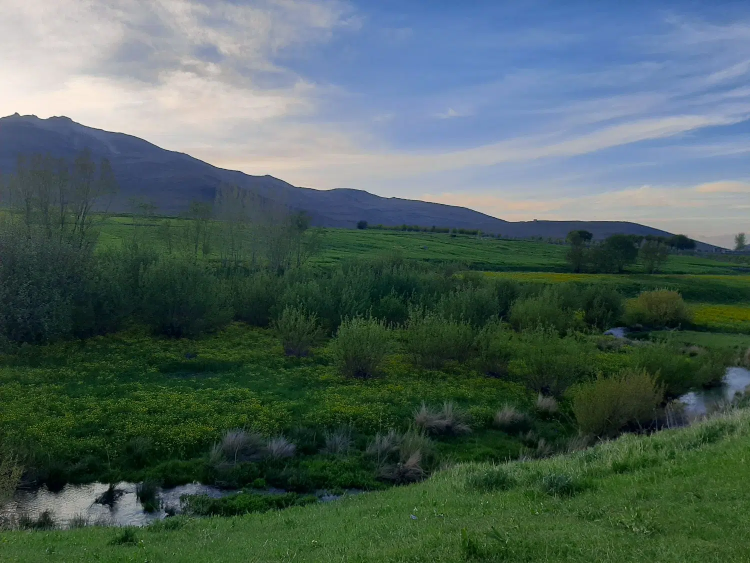 زمین کشاورزی محدوده قروه دهگلان