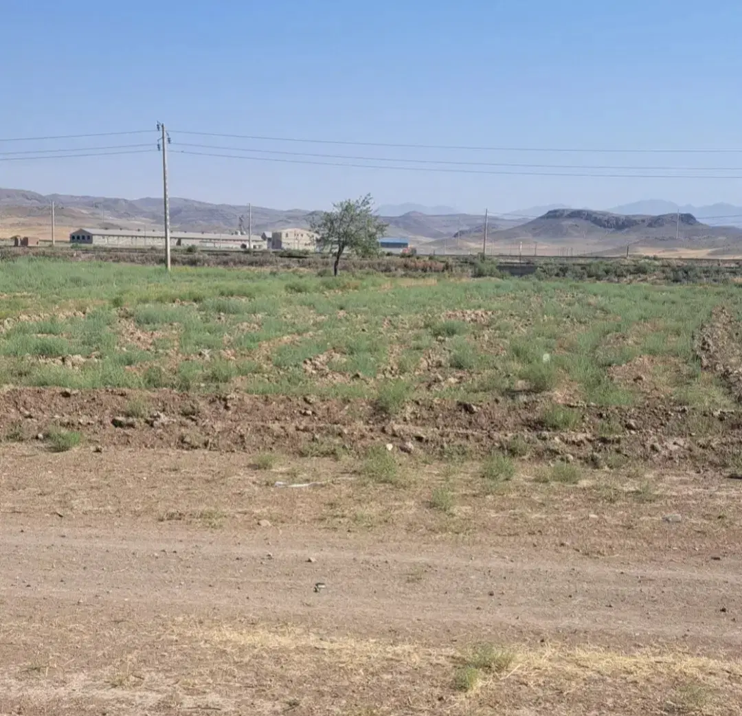 ۲۲۰۰ متر زمین نبش اتوبان بناب به سمت عجب شیر