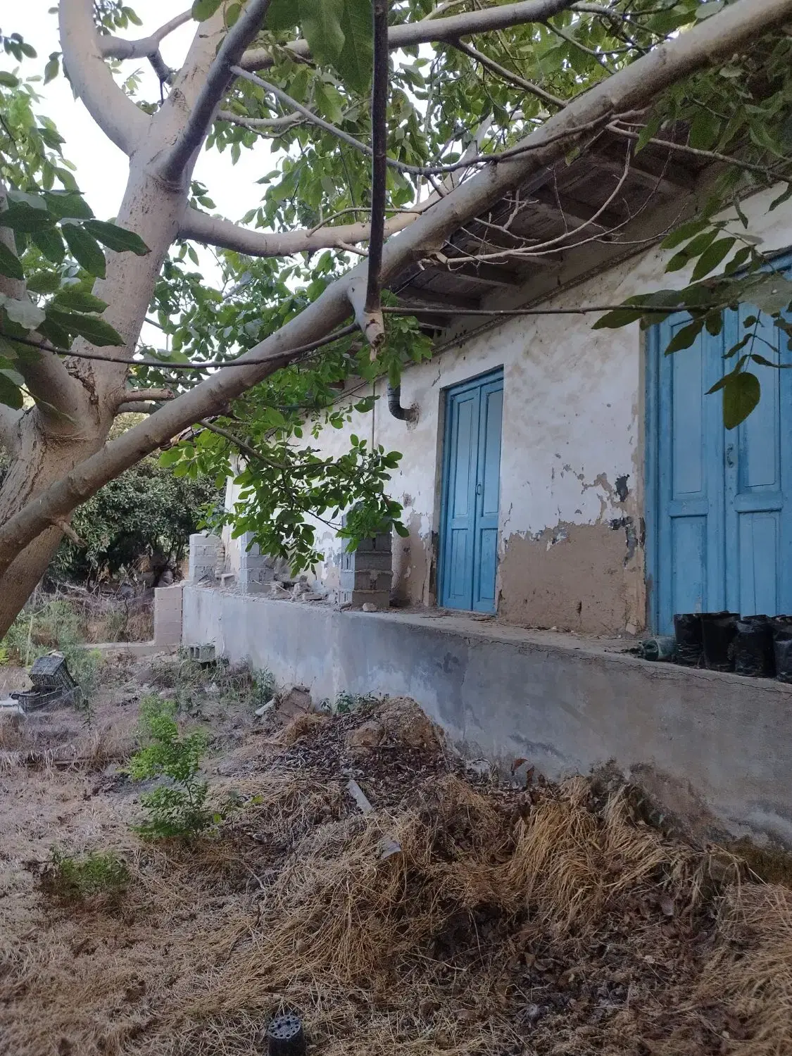 ۱۲۵۰متربافت مسکونی باسندمالکیت