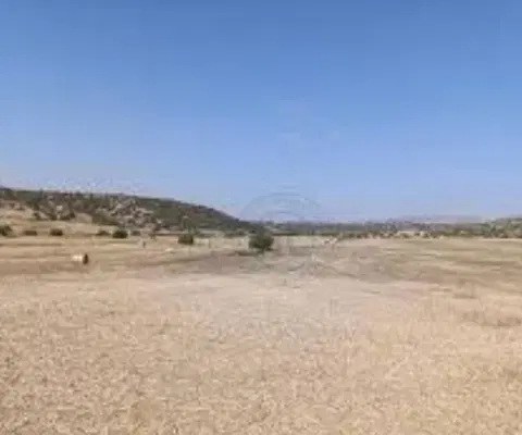 زمین مسکونی