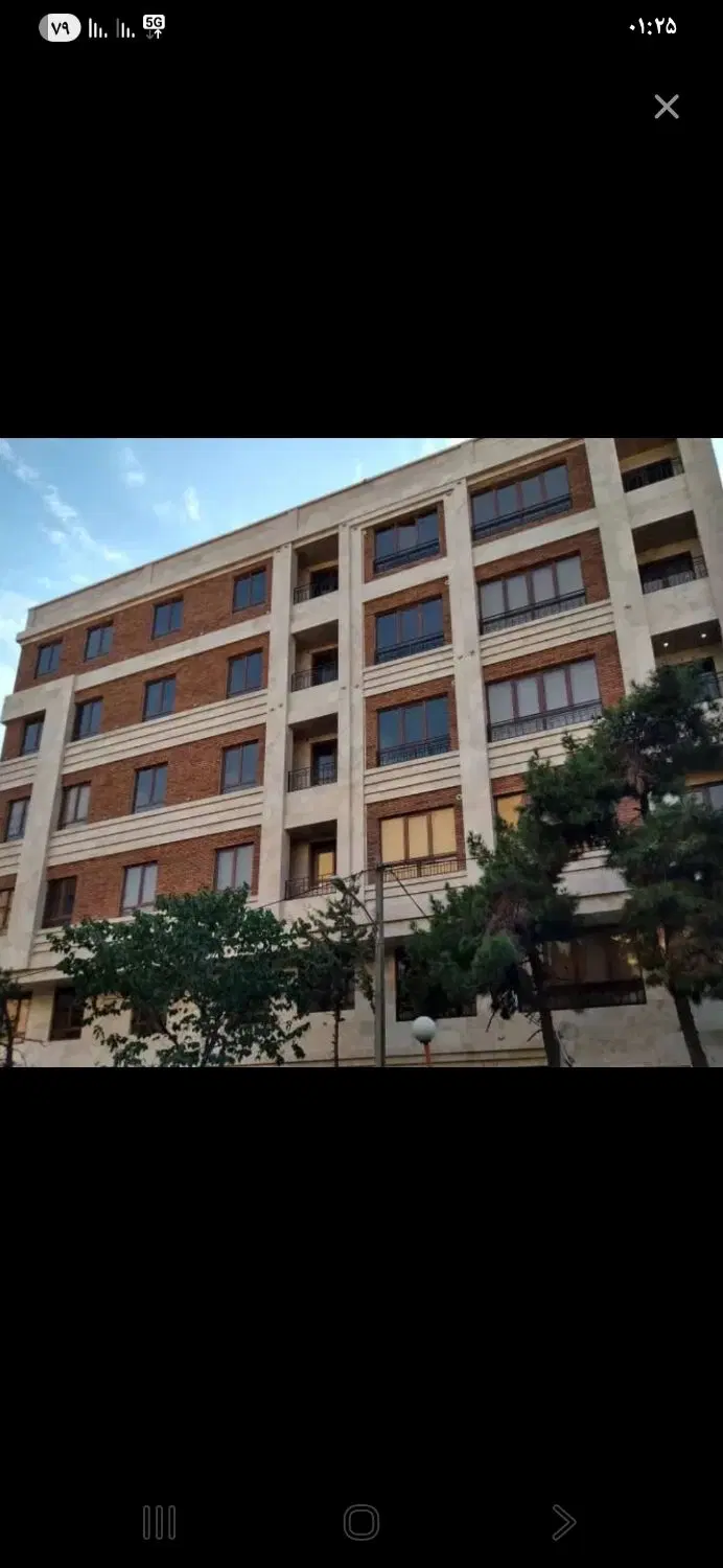 اسکندری جنوبی شکوفه