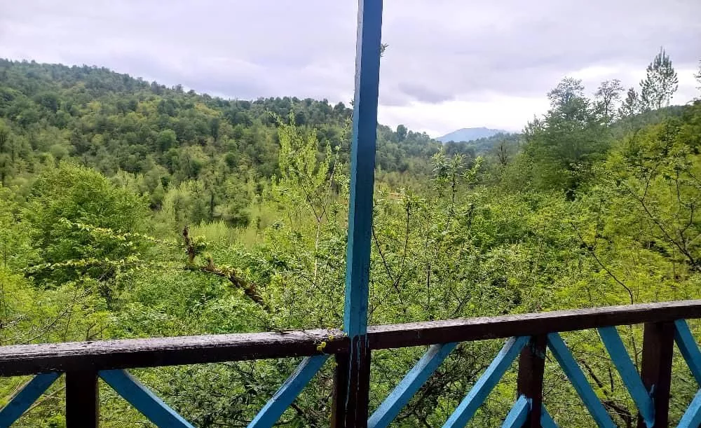 اجاره کلبه جنگلی