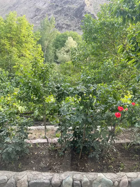 ۲۳۰ متر زمین در فشم میگون