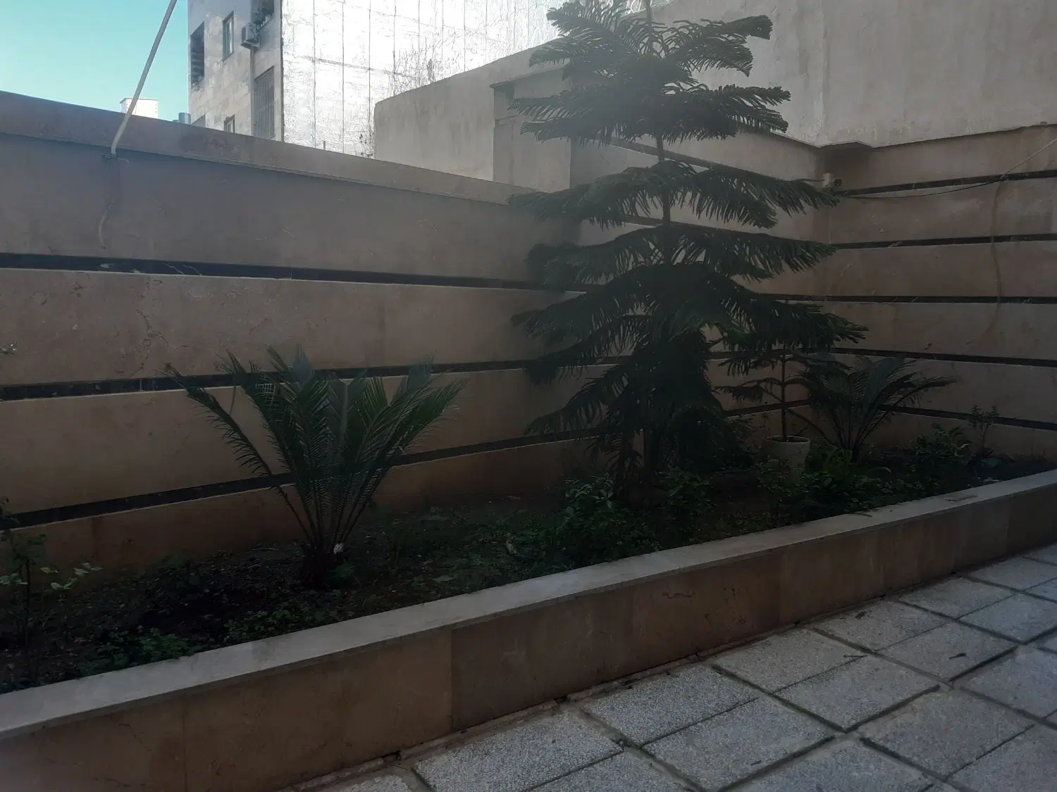 ۱۹۰ متر ویودار ناهارخوران (فردوس)