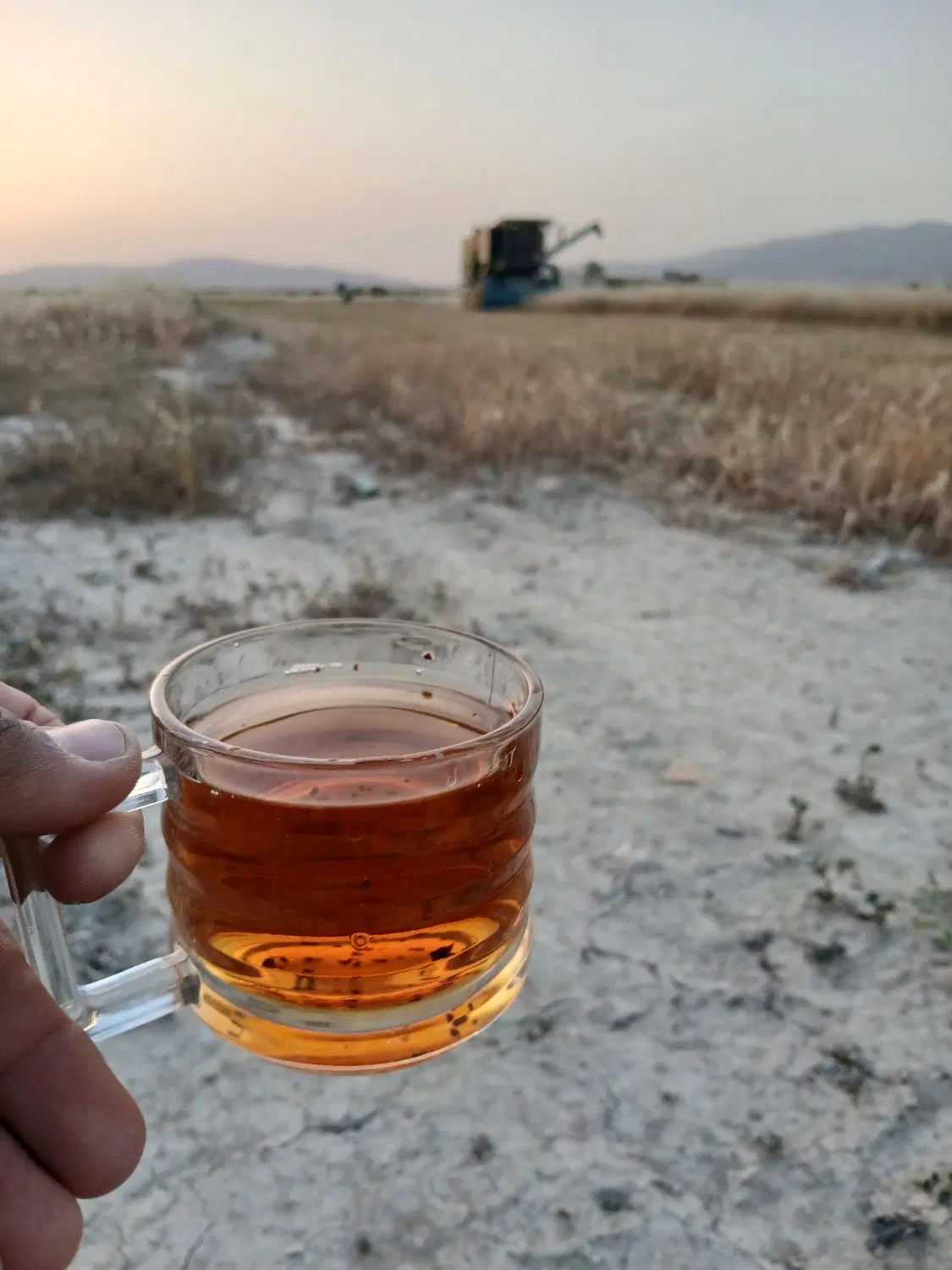 زمین روستای دشت اکبر