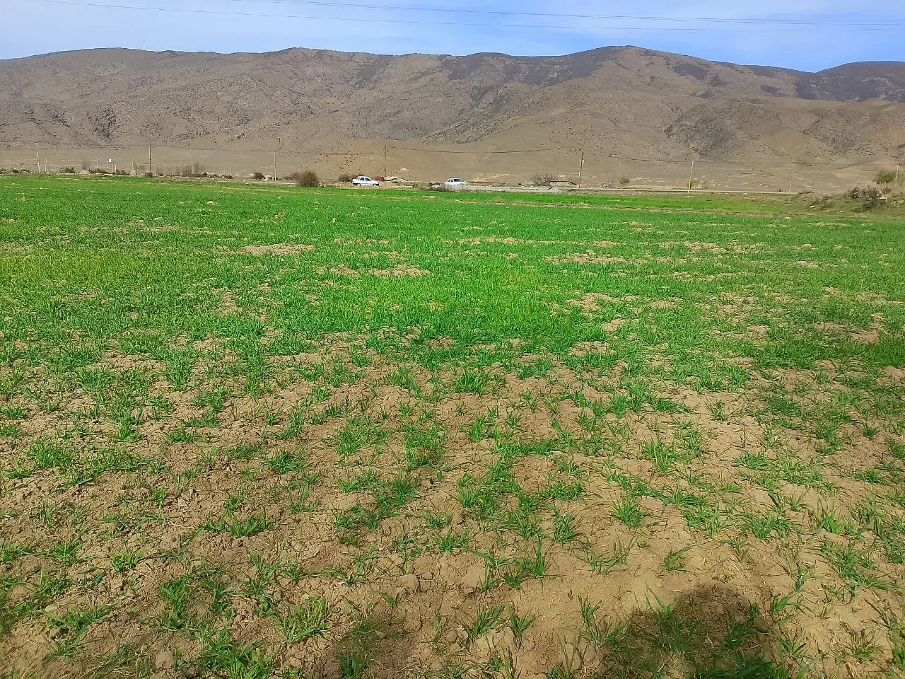 فروش زمین کشاورزی منطقه کجور مازندران