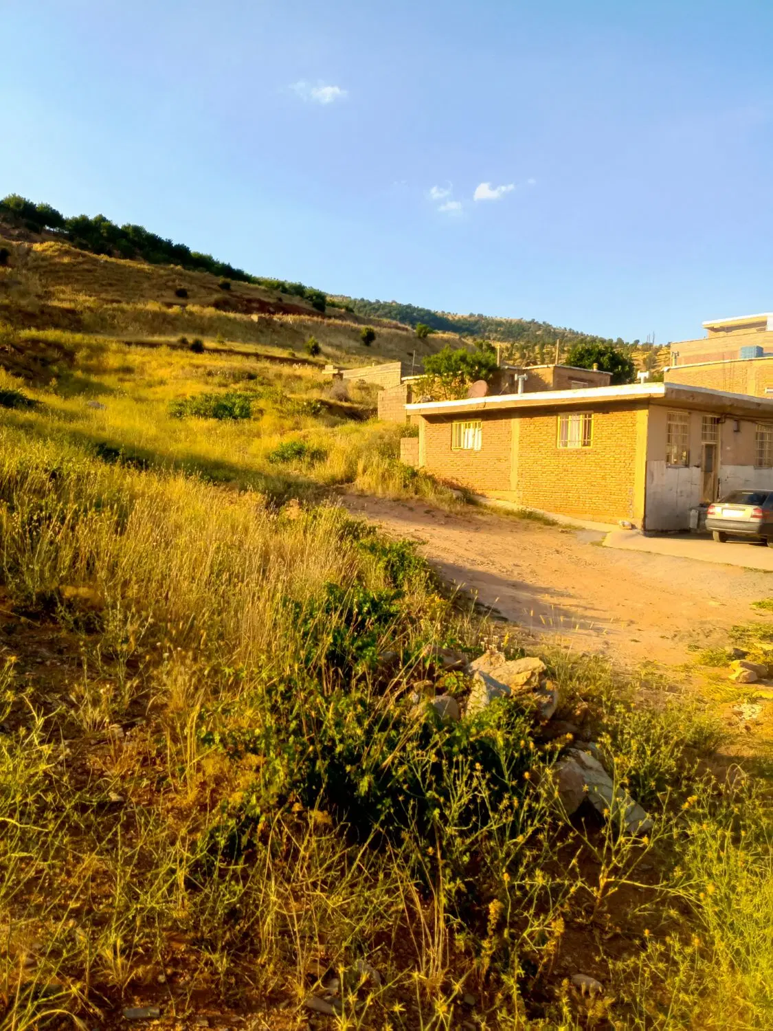 زمین