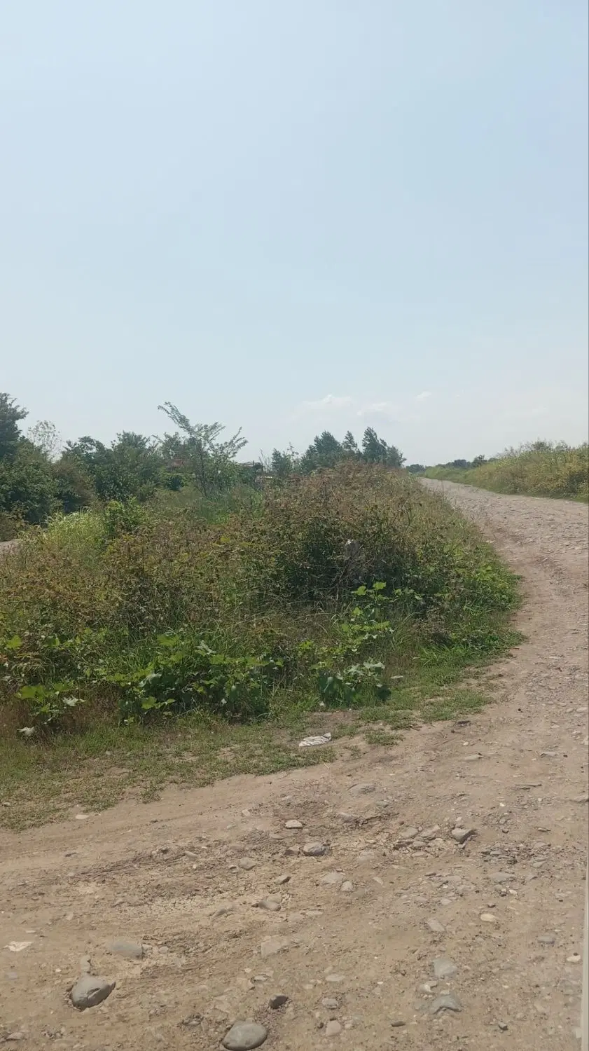 زمین باغی