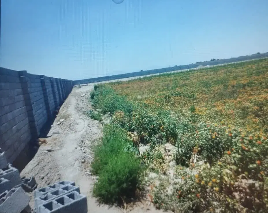 مجموعه باغی
