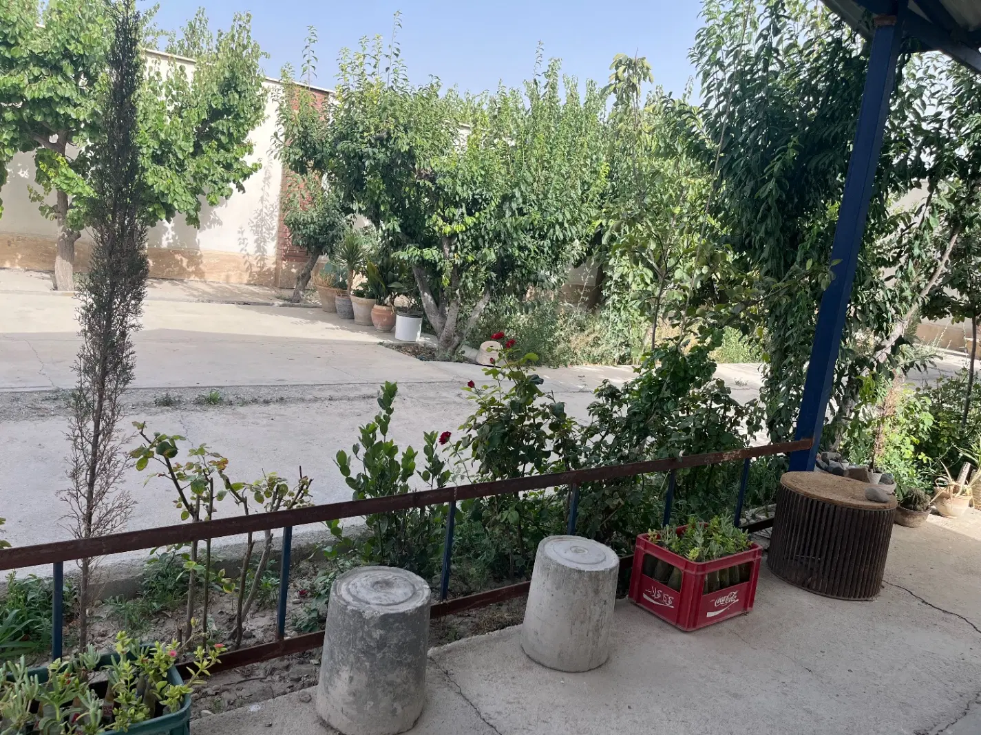 باغچه فروشی