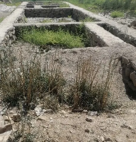 زمین ۱۲۰ متری شیبان